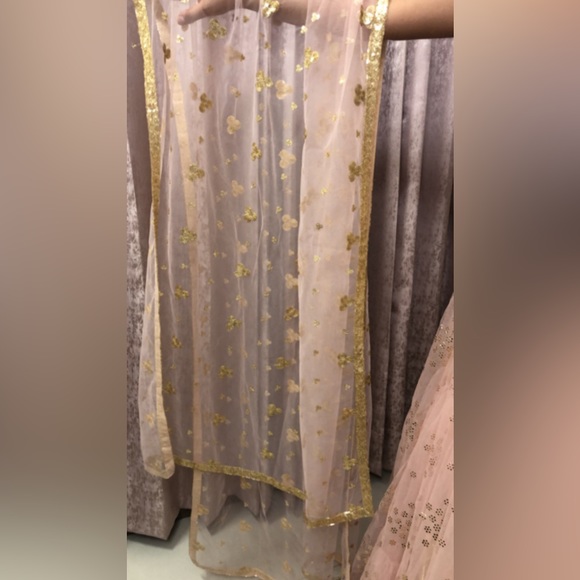 Light pink royal extremely heavy lehenga! - Picture 3 of 11